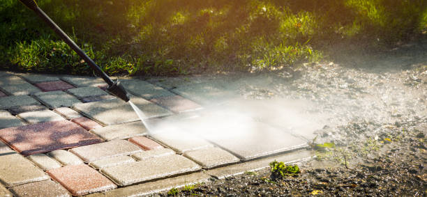 Best Paint Preparation  in Foresthill, CA