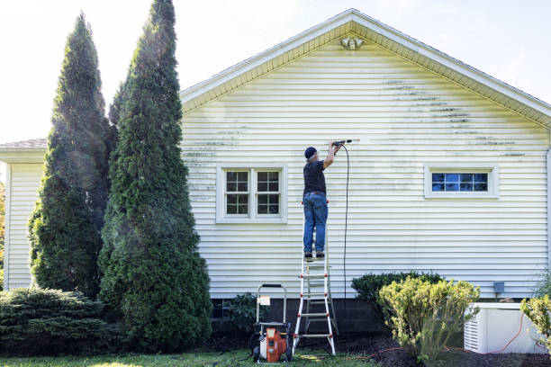 Best Soft Washing  in Foresthill, CA